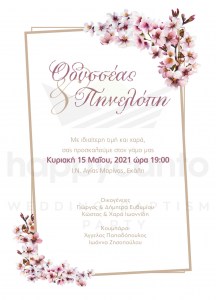 AW13-1480x2048
