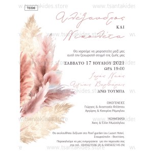TS306-Νο91K-prosklitiria-gamou-dried-pampas-pastel